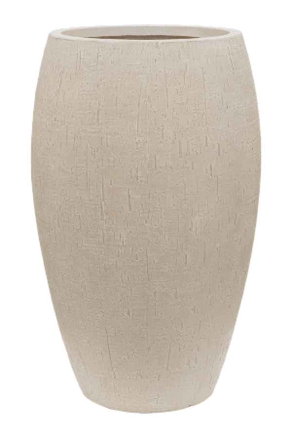 Palmier Kentia en Beige Empereur