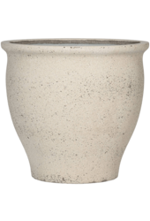 Méditerranéen Ares L Chaux