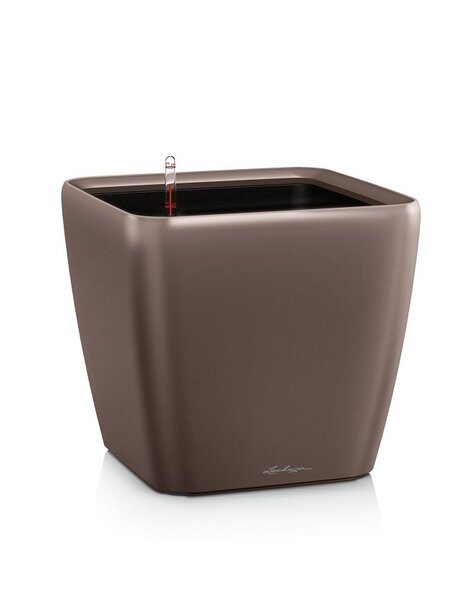 Lechuza Lechuza - Soldes