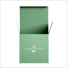 Plantenbox kleine planten