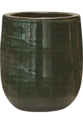 Uni Rayé Darcy Olive