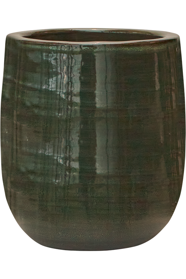 Uni Rayé Darcy Olive