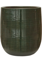 Uni Rayé Darcy Olive