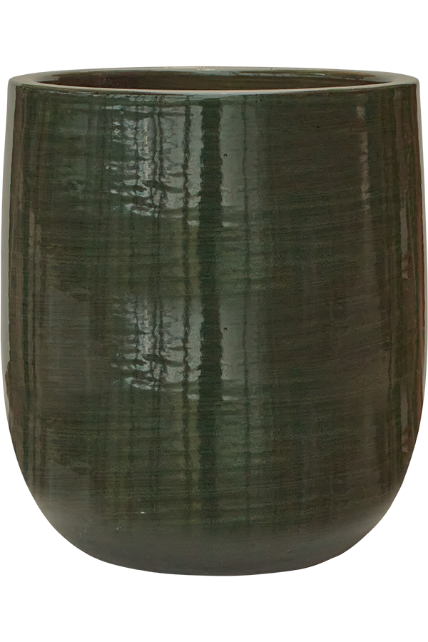 Uni Rayé Darcy Olive