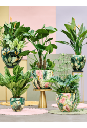 Thom Conçu par Lammie Feuille en Couple Crème