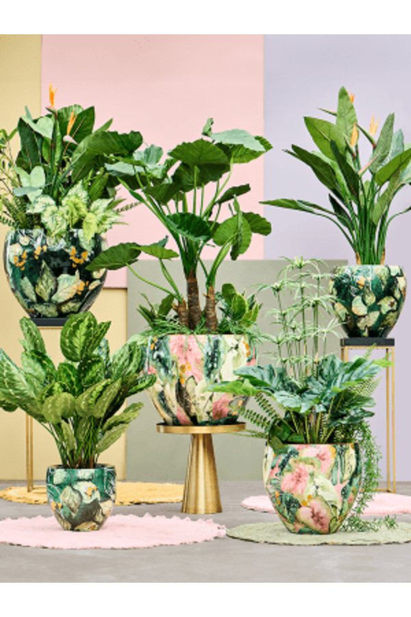 Thom Conçu par Lammie Feuille en Couple Crème