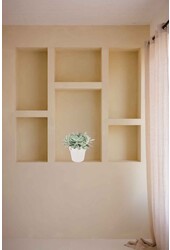 Séneçon 'Mountain Fire' dans B.for Soft