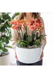 Kolibri Orchids | oranje plantenset in Honey dish incl. waterreservoir | drie oranje orchideeën Bolzano 9cm en drie groene planten | Jungle Bouquet oranje met zelfvoorzienend waterreservoir