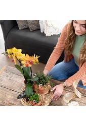 Boîte surprise mix 4 pièces