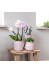 Boîte surprise mix 4 pièces