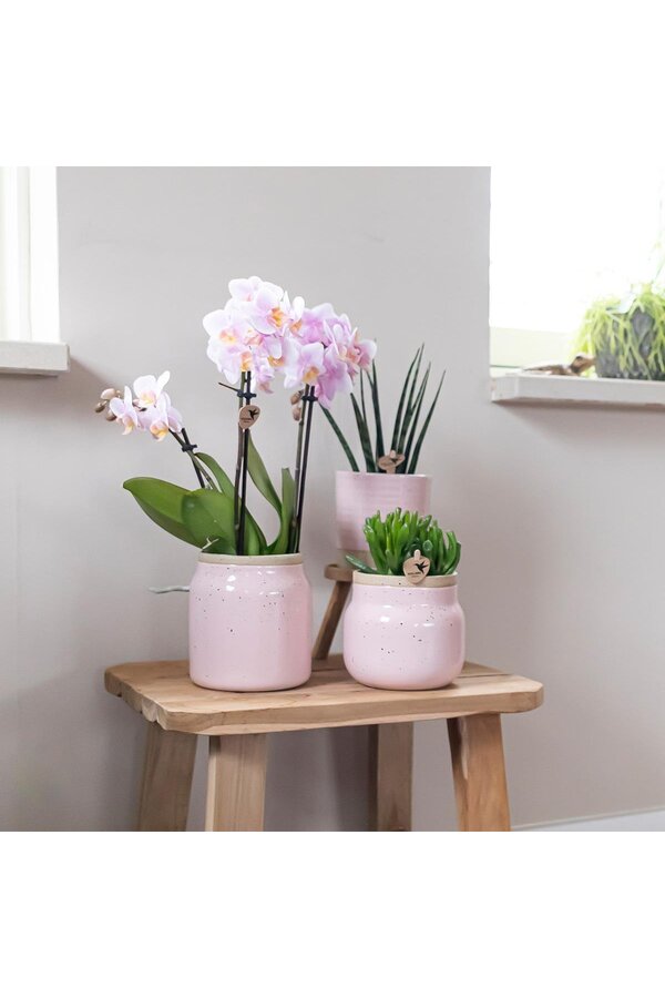 Boîte surprise mix 4 pièces