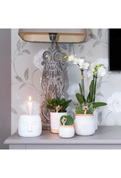 Boîte surprise mix 4 pièces