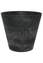 Sansevieria Vrouwentong In Claire