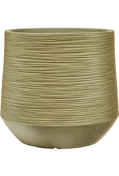 Baq Dune Darcy Green