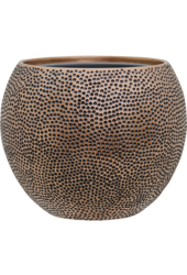 Baq Opus Hit Globe Gold (avec bac d'insertion)