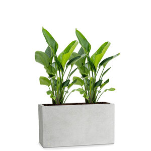 Roomdivider