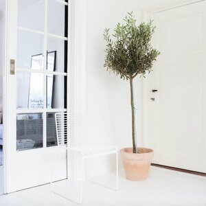 Entree planten