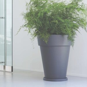 Hydrocultuur