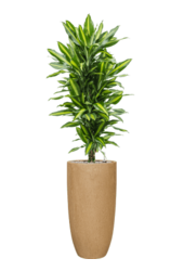 Baq Raindrop Partner Marron Beige