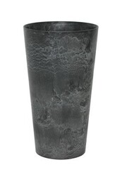 Scindapsus dans Claire