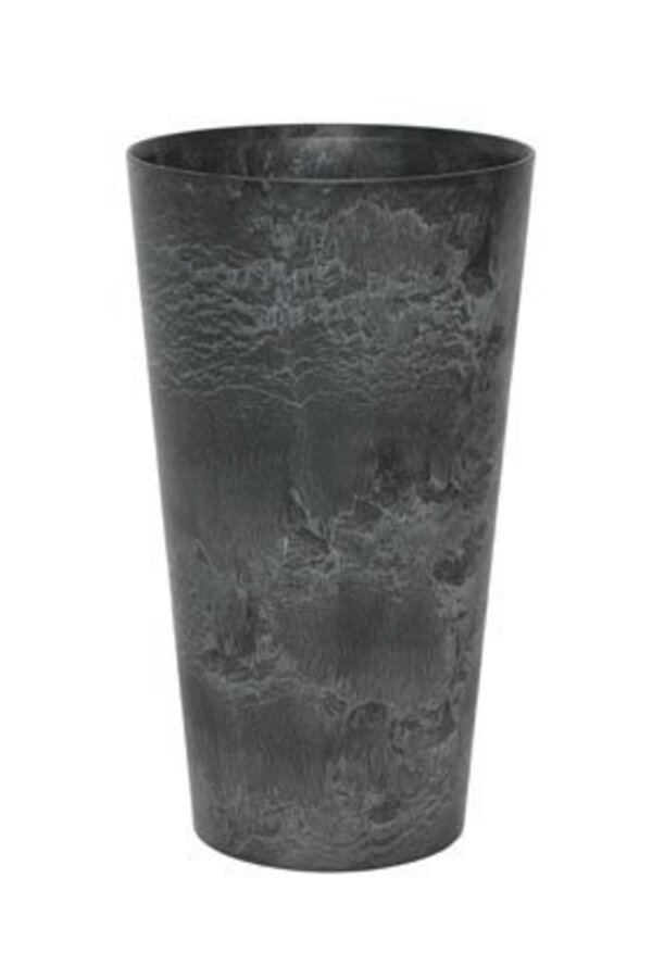 Scindapsus dans Claire