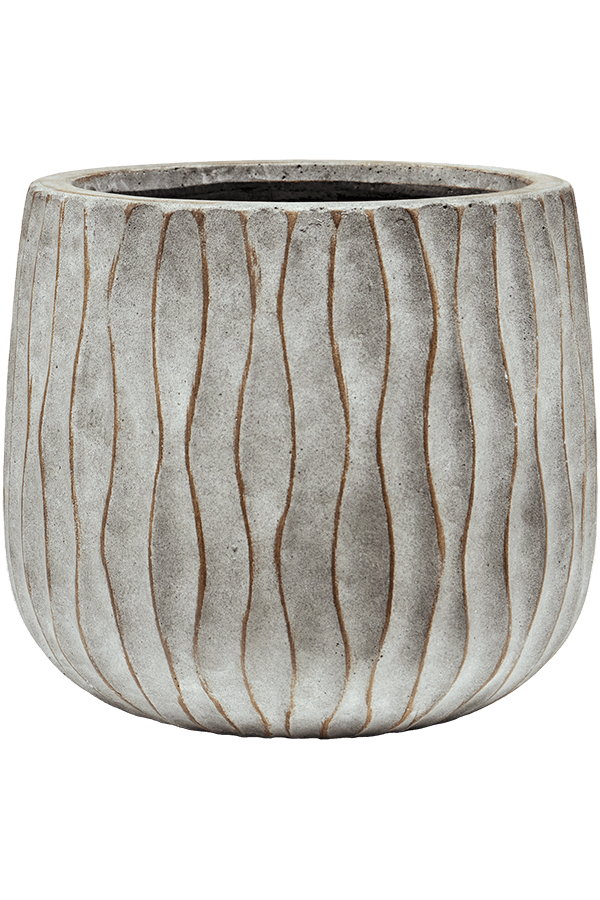 Wave Pax S, Lavé fossile