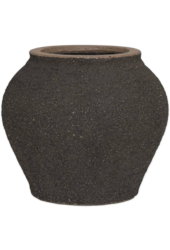 Zeus Méditerranéen S Brun Ombre