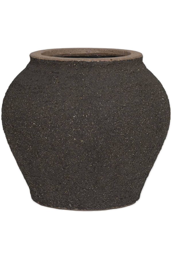 Zeus Méditerranéen S Brun Ombre