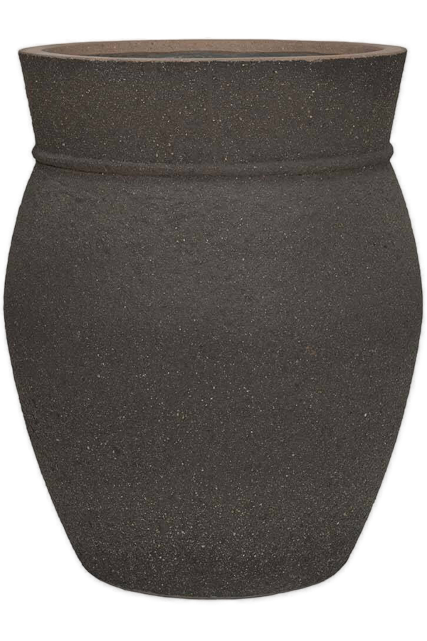 Apollon Méditerranéen L Terre d'ombre naturelle