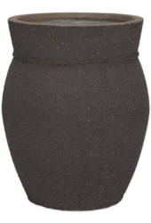 Méditerranéen Apollo S Brun Ombre