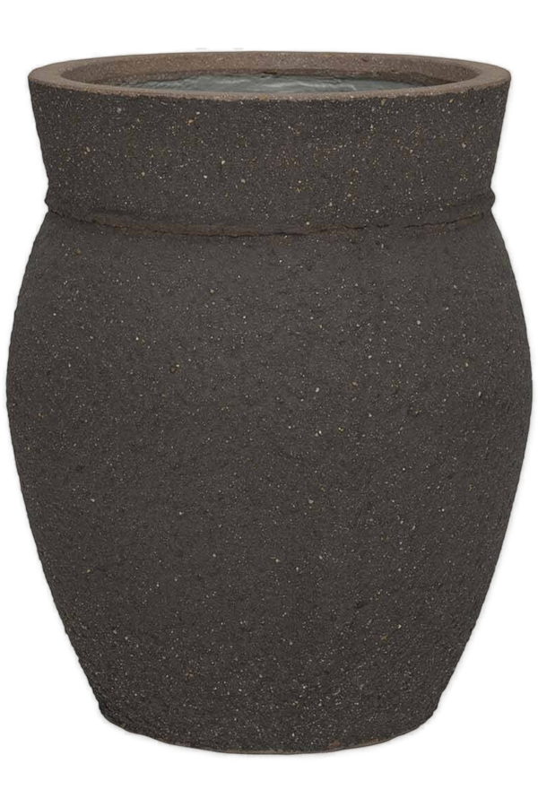 Méditerranéen Apollo S Brun Ombre