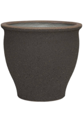 Poséidon Méditerranéen M Brun Ombre