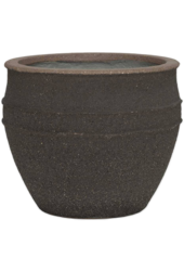 Mediterranean Athena M Umber Brown