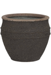 Méditerranéen Athéna S Brun Ombre