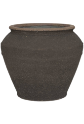 Méditerranéen Éros L Brun Ombre