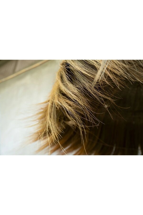 Le Pendentif Makiki - Naturel - XL