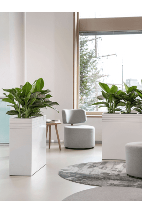 Baq Line-Up Rectangle Blanc Mat (avec bac intérieur et plateau à roulettes)