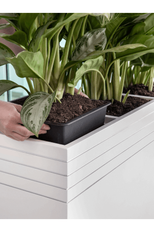 Baq Line-Up Rectangle Blanc Mat (avec bac intérieur et plateau à roulettes)