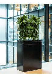 Baq Line-Up Rectangle Matt Black (met inzetbak en wielplateau)