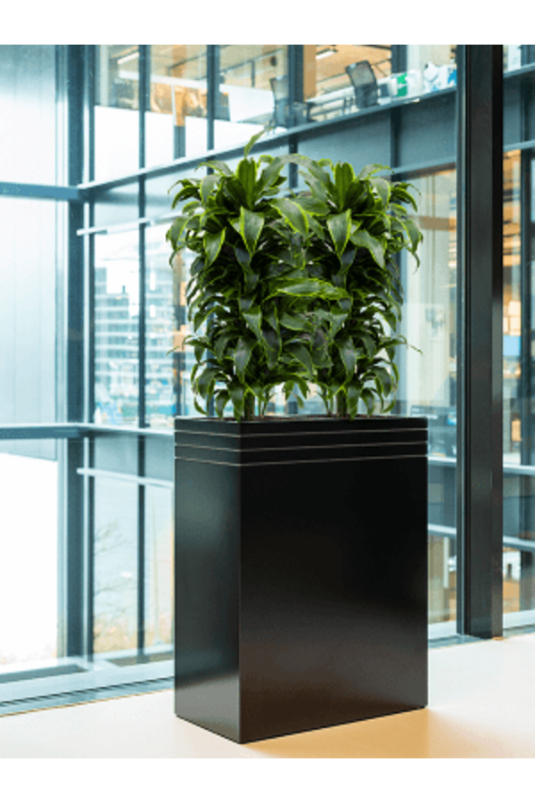 Baq Line-Up Rectangle Matt Black (met inzetbak en wielplateau)