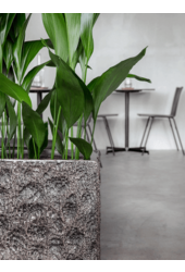 Baq Luxe Lite Universe Moon Rectangle Bronze