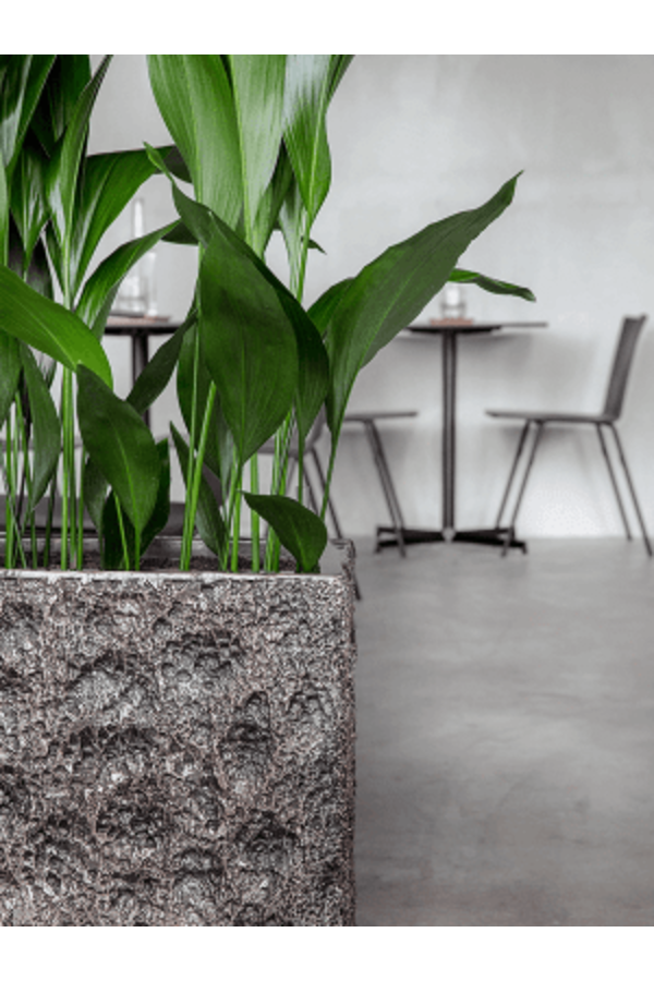 Baq Luxe Lite Universe Moon Rectangle Bronze