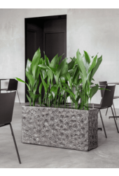 Baq Luxe Lite Univers Lune Rectangle Bronze