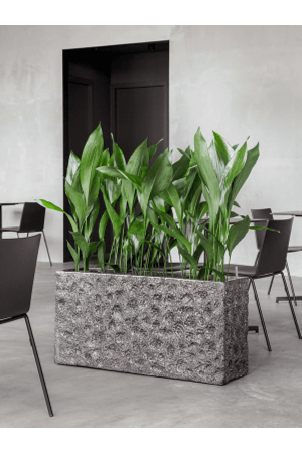 Baq Luxe Lite Univers Lune Rectangle Bronze