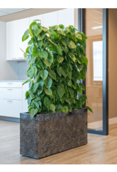 Baq Luxe Lite Universe Layer Rectangle Bronze