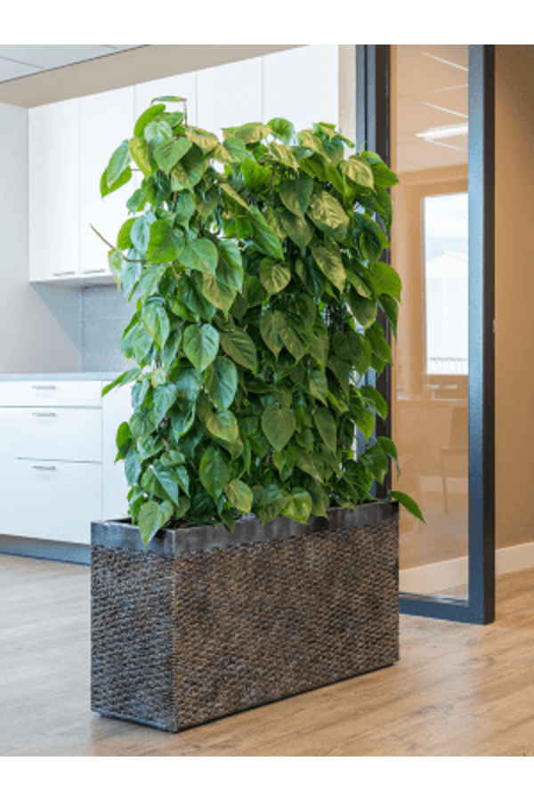 Baq Luxe Lite Univers Couche Rectangle Bronze