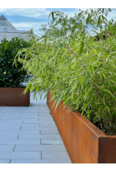 Dessus de jardinière rectangulaire en acier Corten avec pieds bas