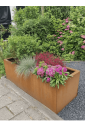 Dessus rectangulaire en acier Corten avec pieds bas