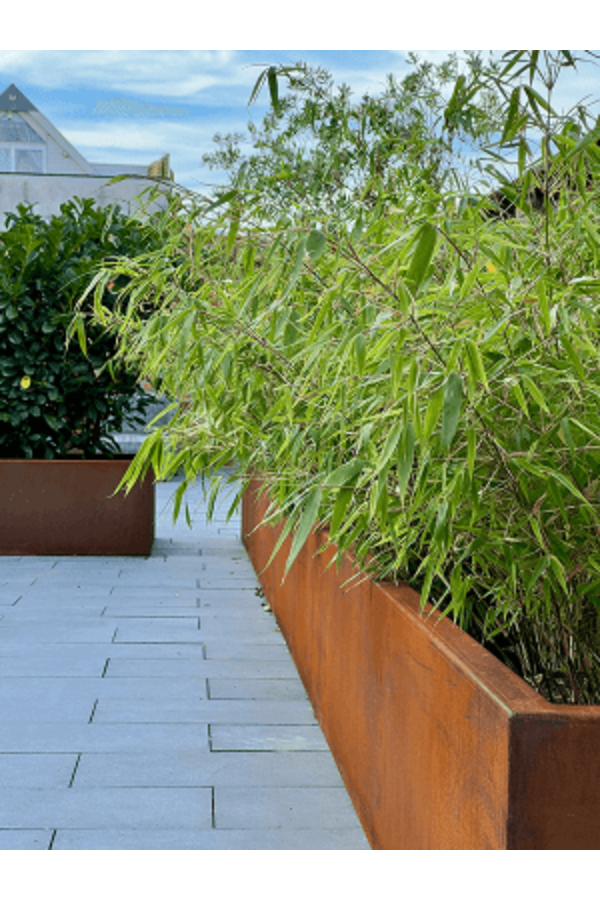 Cortensteel Rectangle Topper With Low Feet