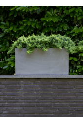 Fiberstone Jort S Grey